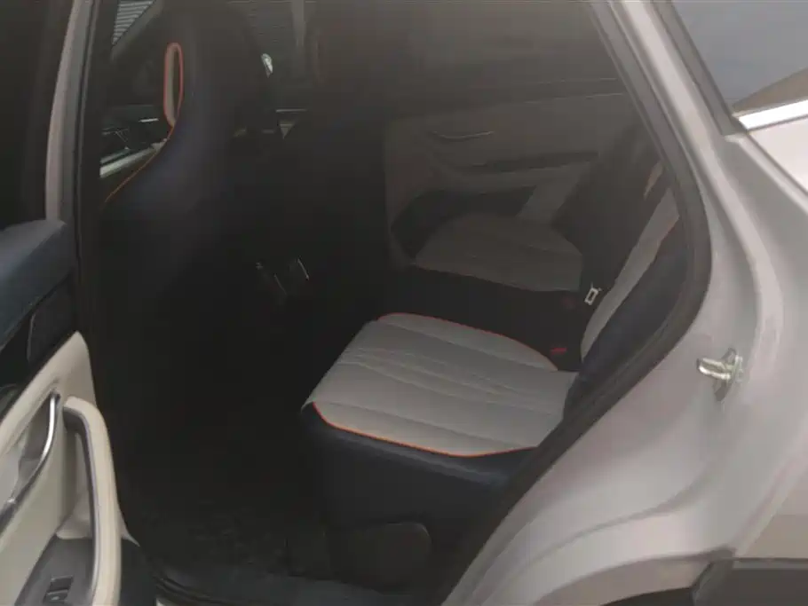 BYD PLUS New Energy 2023 — фото 11
