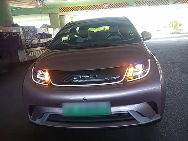 BYD Dolphin 2022