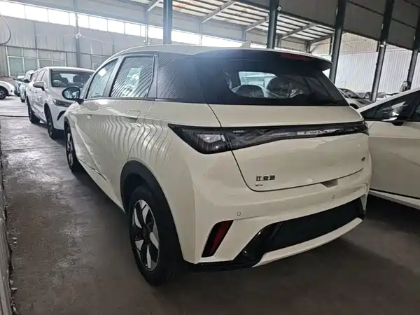BYD Dolphin 2026