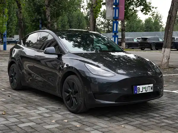 Tesla Model Y 2024