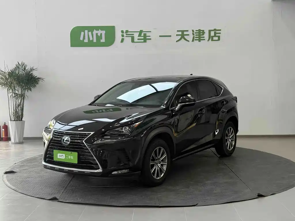 Lexus NX 2020 — фото 1