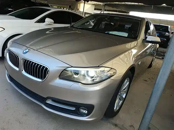 BMW 5 Series 2014