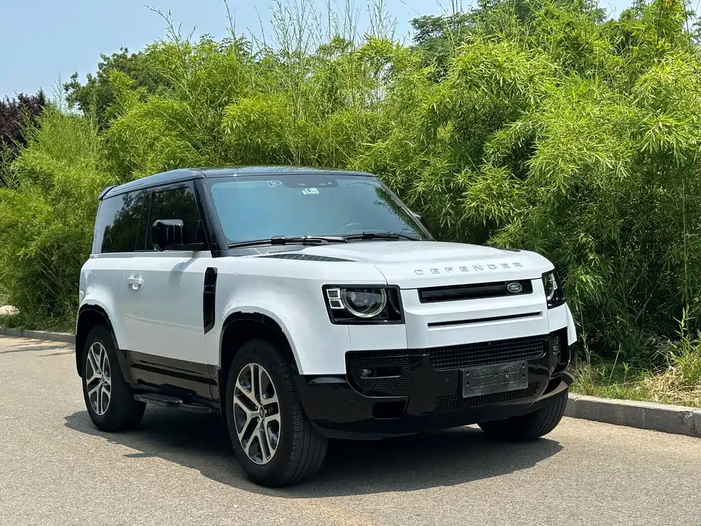 Land Rover Defender 2022 — фото 3