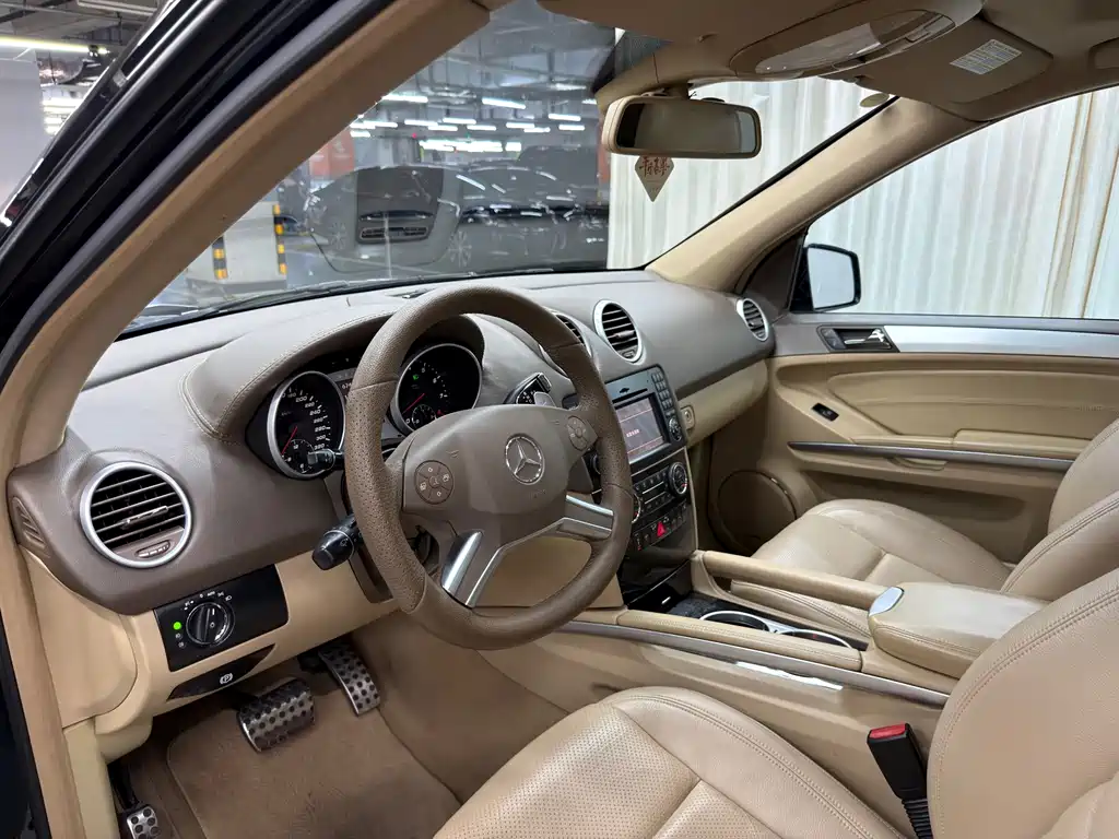 Mercedes-Benz M-Class AMG 2010 — фото 8