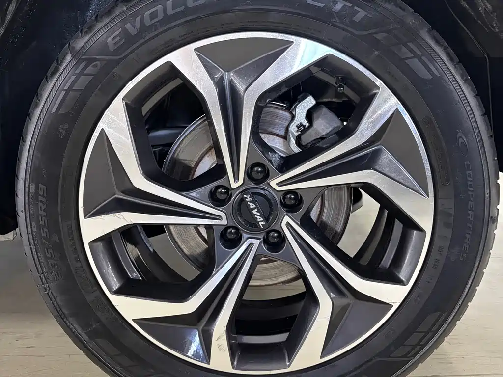 Haval Mythical Beast 2022 — фото 12