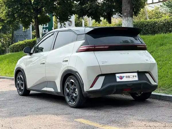 BYD Seagull 2024