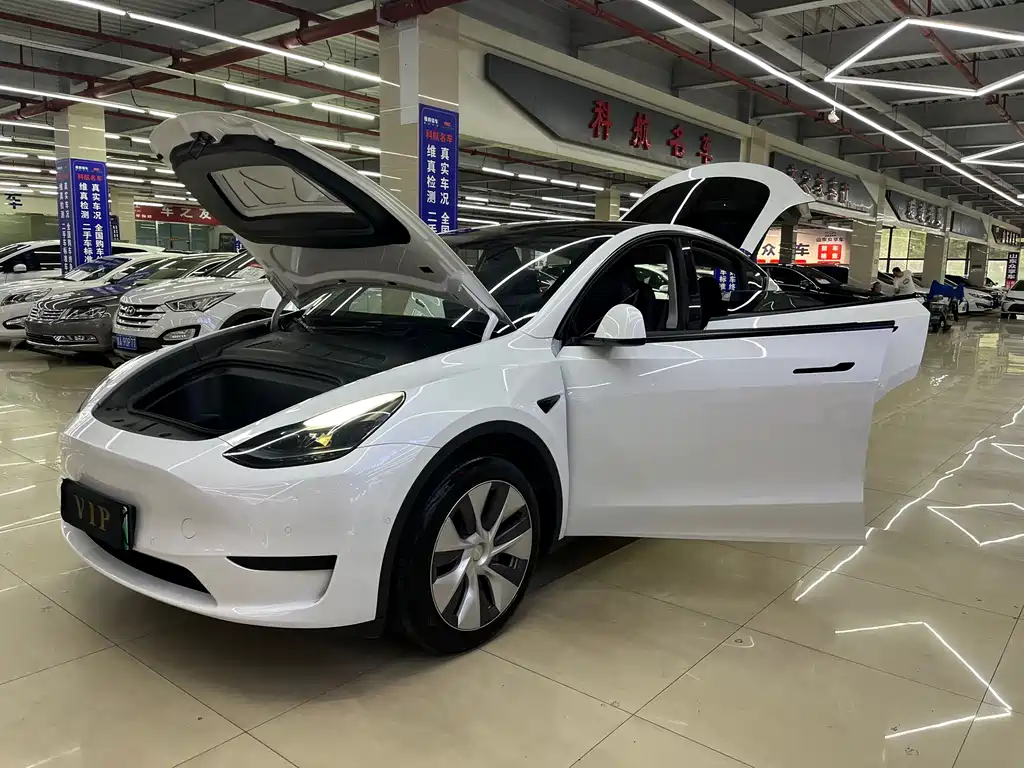 Tesla Model Y 2023 — фото 16
