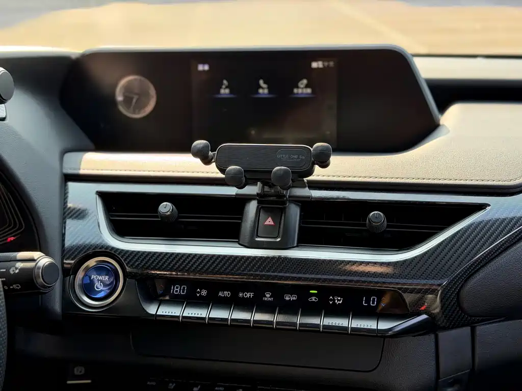 Lexus UX New Energy 2020 — фото 14