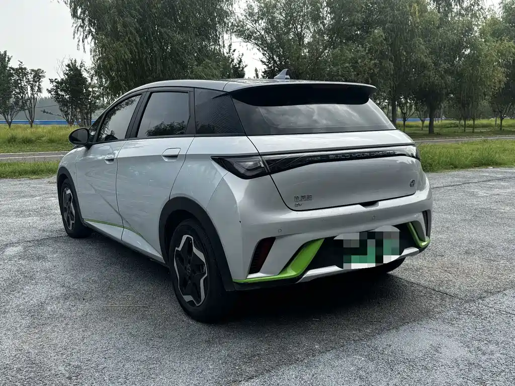 BYD Dolphin 2021
