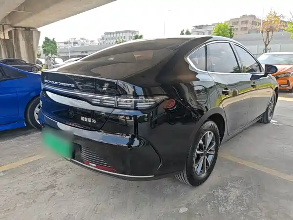 BYD Destroyer 05 2024