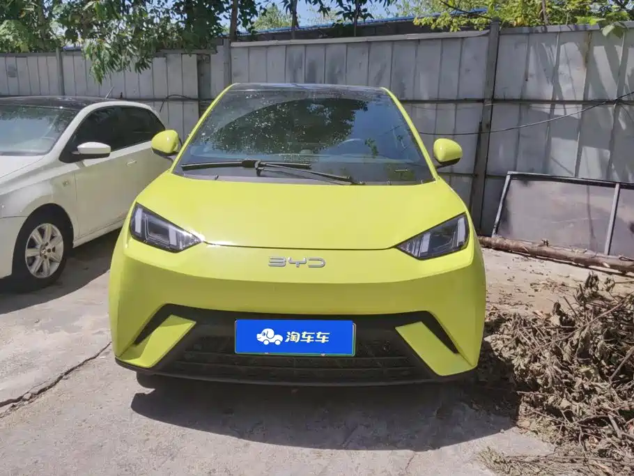 BYD Seagull 2024