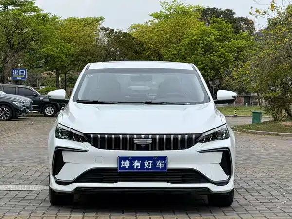 Geely Binrui 2024