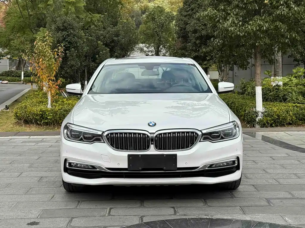 BMW 5 Series 2018 — фото 2