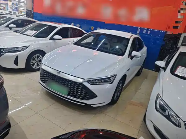 BYD Qin PLUS 2024