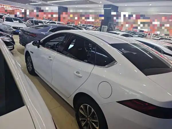 BYD Qin PLUS 2024