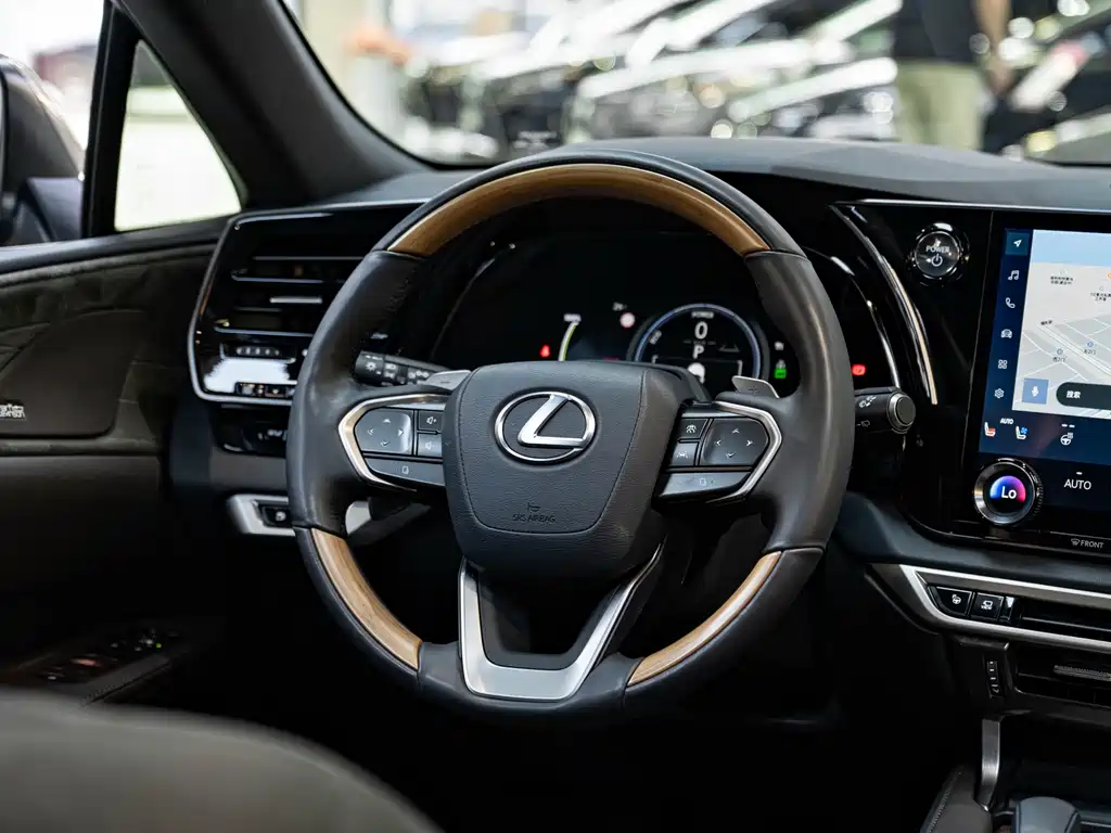 Lexus RX New Energy 2023 — фото 15