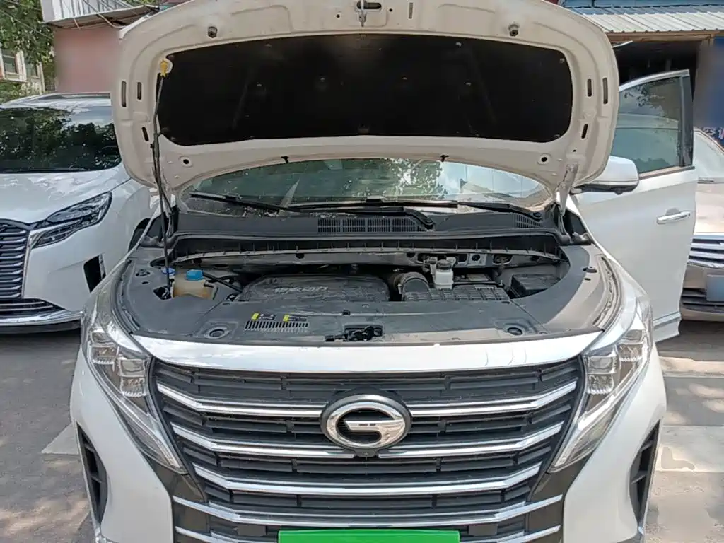 GAC Motor Trumpchi M8 2024 — фото 20