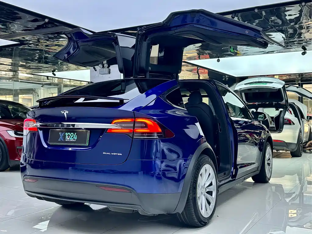 Tesla Model X 2020 — фото 13