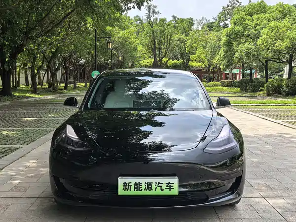 Tesla Model 3 2020