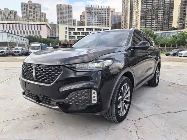 Wey VV6 2020