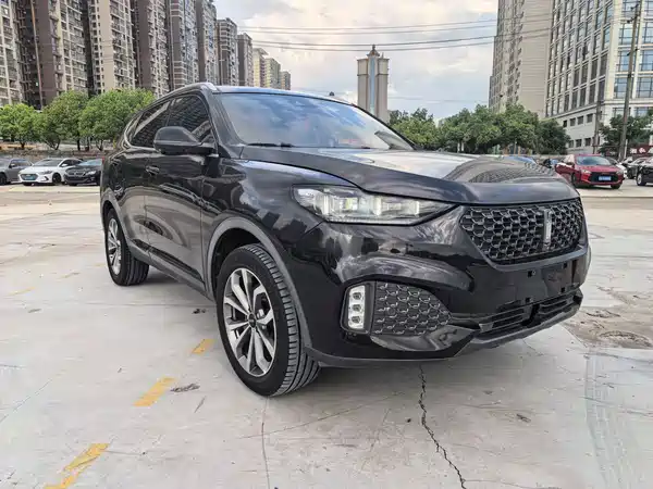 Wey VV6 2020
