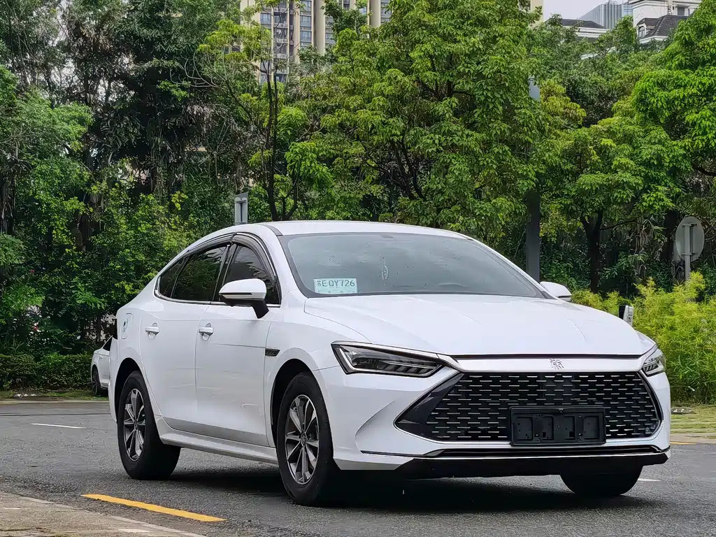 BYD Qin PLUS 2024 — фото 3