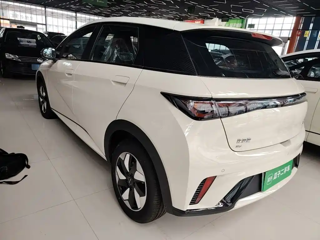 BYD Dolphin 2026