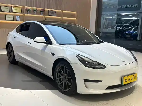 Tesla Model 3 2021