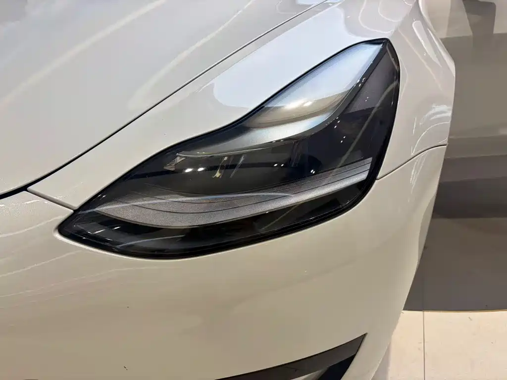 Tesla Model 3 2021 — фото 18
