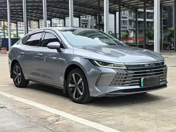 BYD Destroyer 05 2024