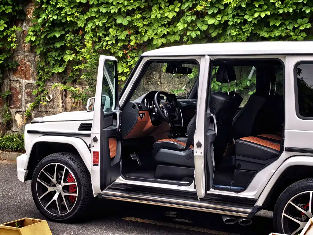 Mercedes-Benz G-Class AMG 2017 — фото 6