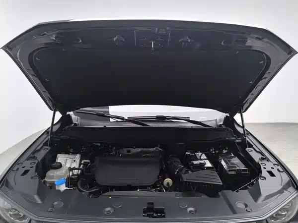 Haval Dog PLUS 2024
