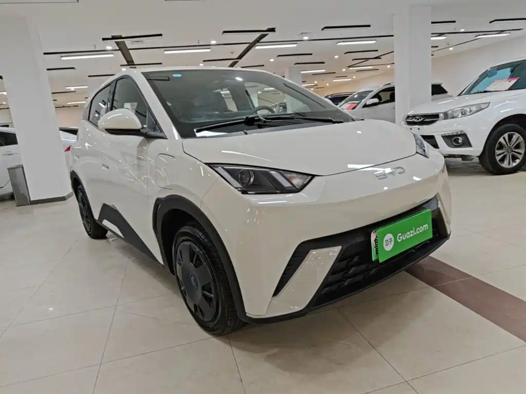 BYD Seagull 2024