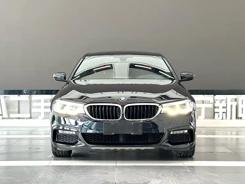 BMW 5 Series 2017 — фото 2