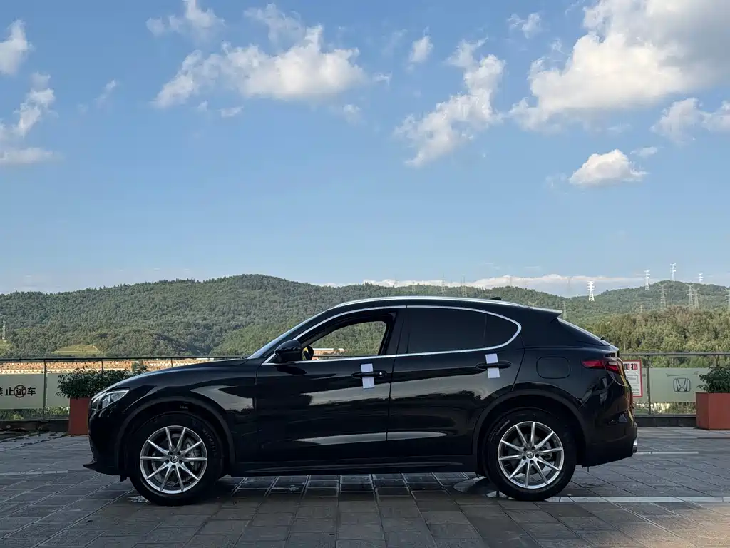 Alfa Romeo Stelvio 2019 — фото 10