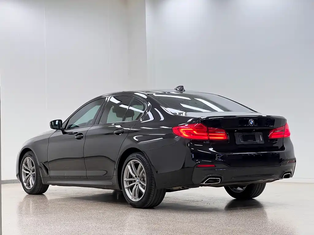 BMW 5 Series 2020 — фото 28