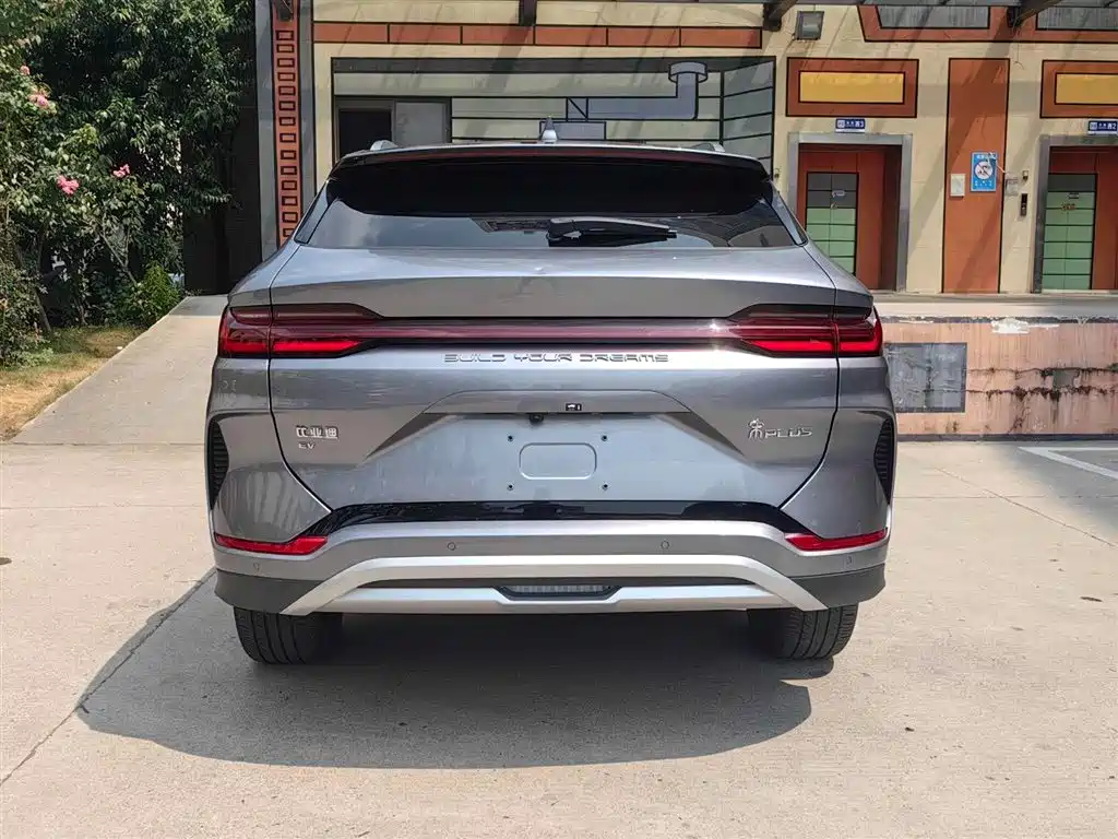 BYD PLUS New Energy 2024 — фото 14