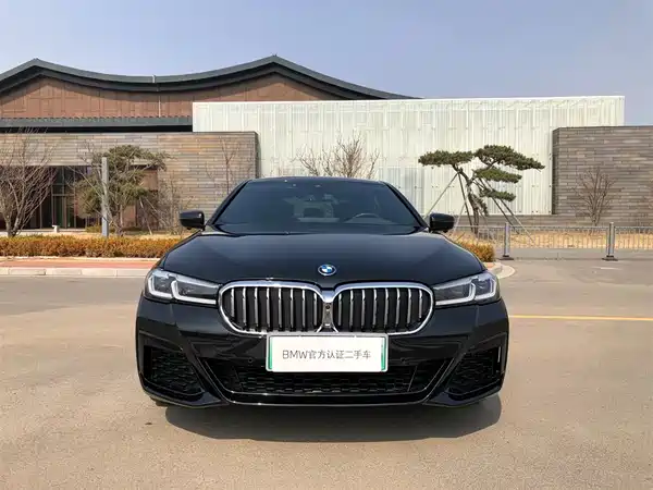 BMW 5 Series New Energy 2024