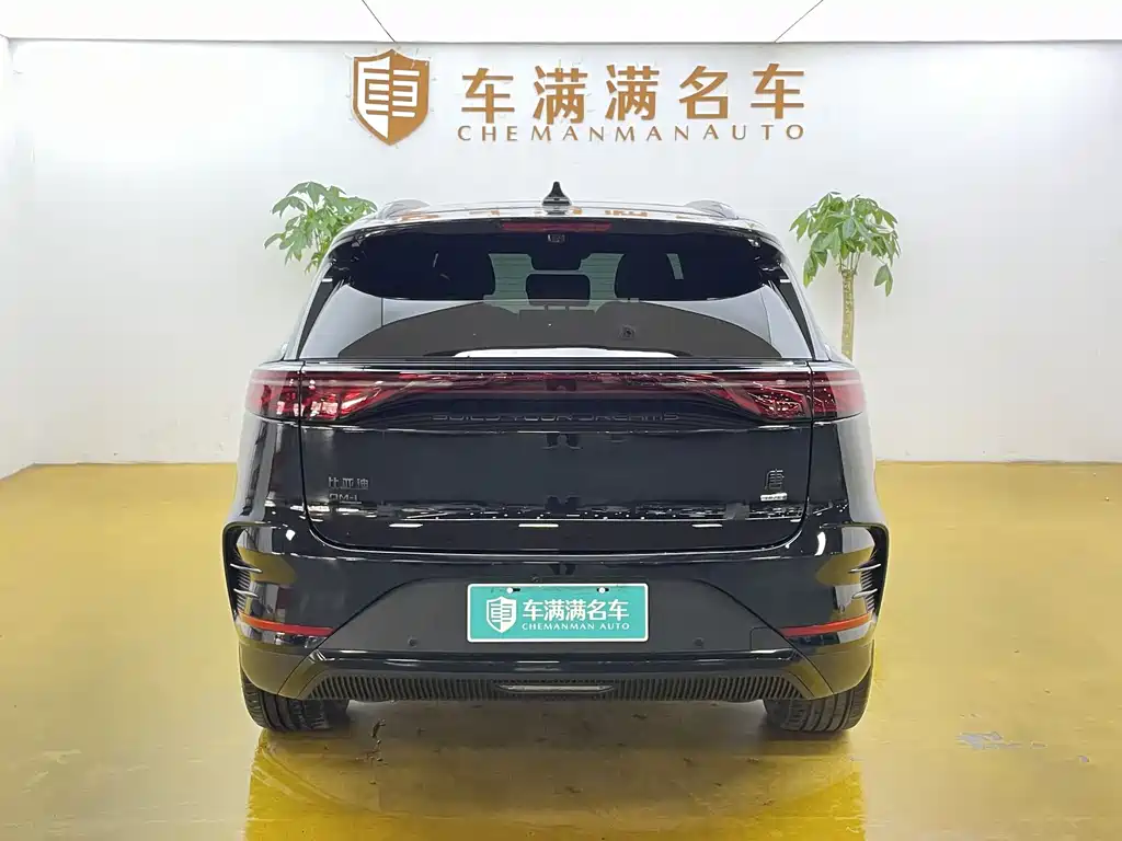 BYD Tang New Energy 2025 — фото 10