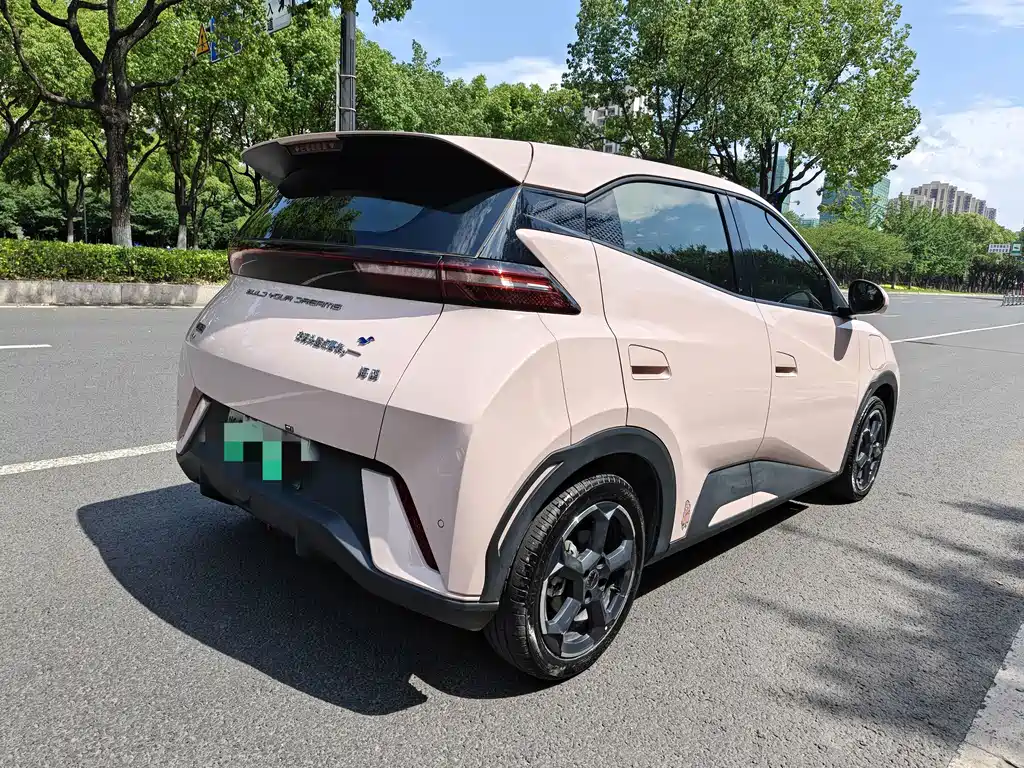 BYD Seagull 2024
