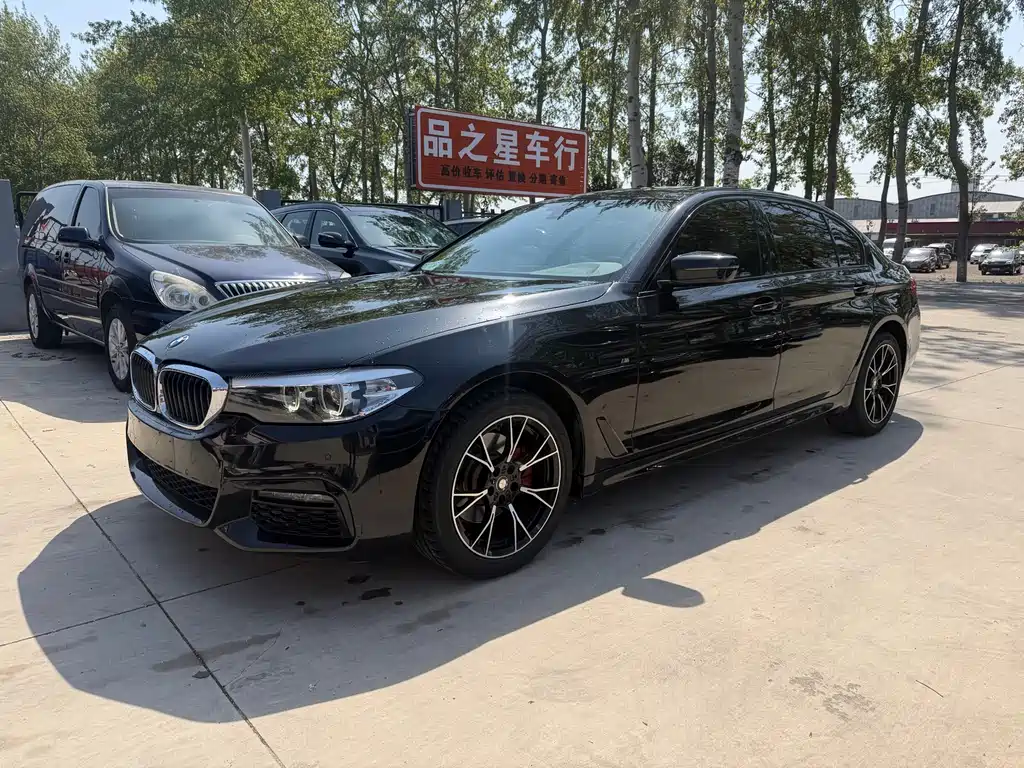 BMW 5 Series 2019