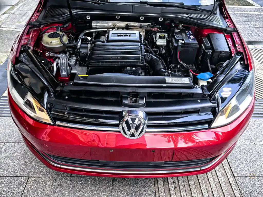 Volkswagen Golf 2015 — фото 18