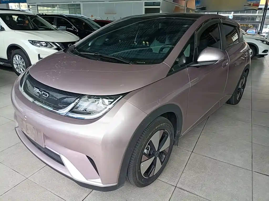 BYD Dolphin 2024