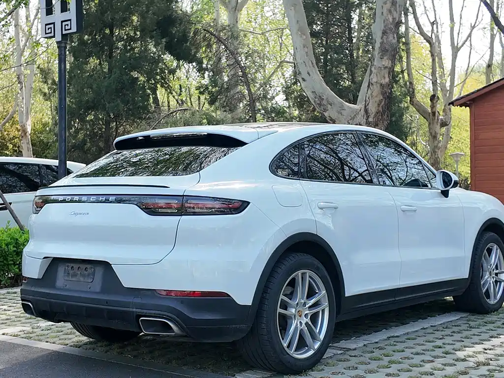 Porsche Cayenne 2021 — фото 16