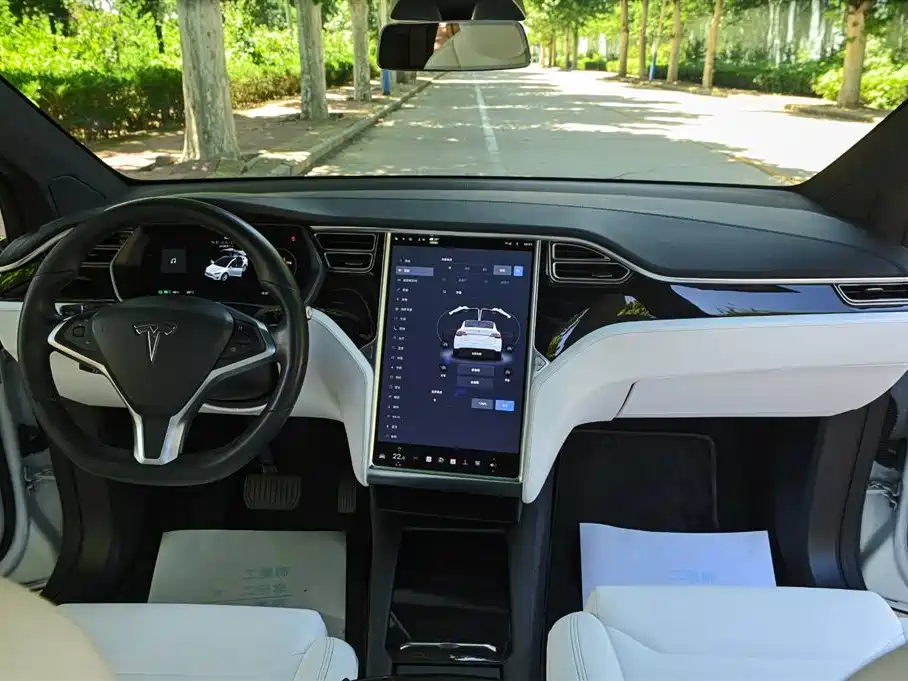 Tesla Model X 2018 — фото 10