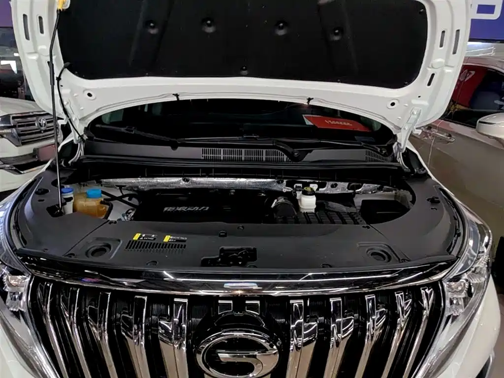 GAC Motor Trumpchi M8 2022 — фото 20