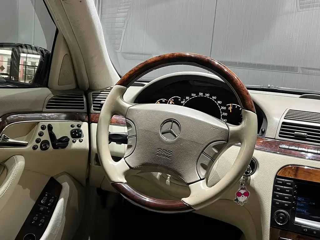 Mercedes-Benz S-Class 2005 — фото 12