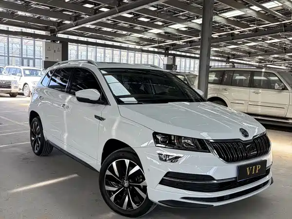 Skoda Karoq 2024