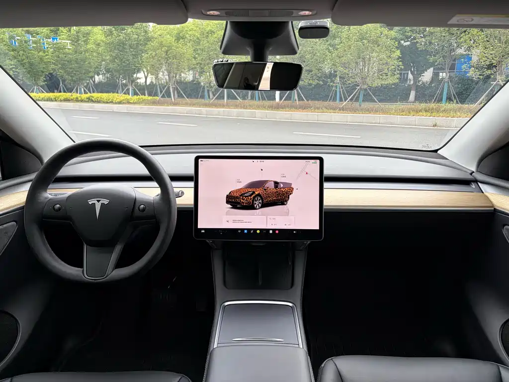 Tesla Model Y 2023 — фото 6