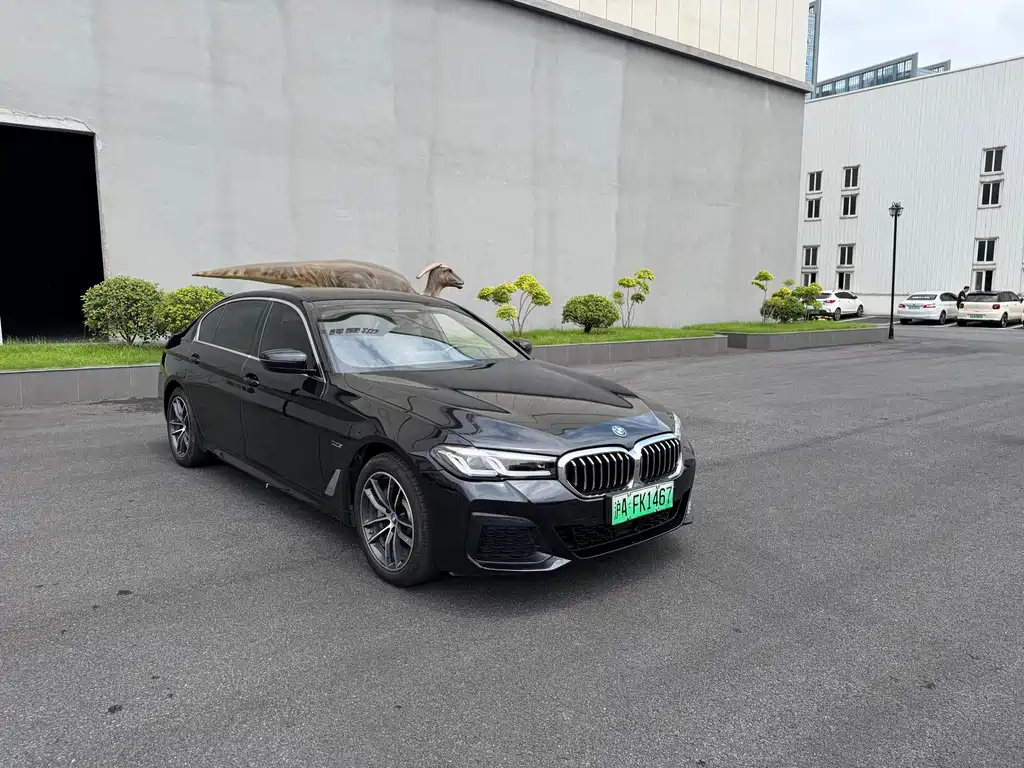 BMW 5 Series New Energy 2022